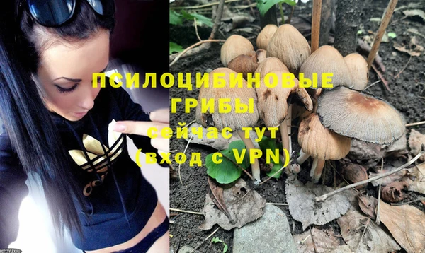 ALPHA PVP Козельск