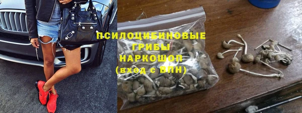 круглые Белокуриха