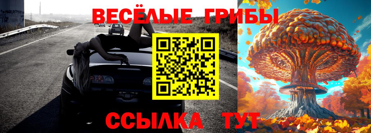 Бузулук  где найти   Вход с VPN  Галлюциногенные грибы Psilocybe 
